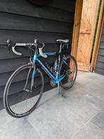 Pinarello FP Uno - racefiets, Gebruikt, Aluminium, 15 tot 20 versnellingen, 53 tot 57 cm