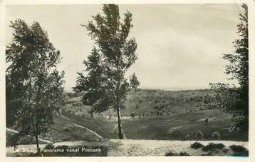 (300-224-001) De Steeg Panorama vanaf Posbank beschikbaar voor biedingen