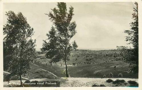 (300-224-001) De Steeg Panorama vanaf Posbank, Verzamelen, Ansichtkaarten | Nederland, Gelderland, Verzenden