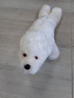 zeehond, Ophalen of Verzenden, Gebruikt, Overige typen