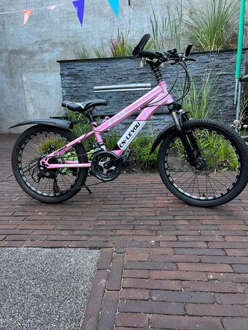 Stoere 20 inch meisjes MTB beschikbaar voor biedingen