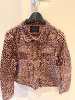 Maison Scotch Ribjasje Maat 3, Maat 38/40 (M), Overige kleuren, Ophalen of Verzenden, Zo goed als nieuw