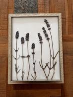 Schilderij - foto frame, Antiek en Kunst, Ophalen of Verzenden