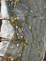 40m2 Gebruikte flagstones, Ophalen, Gebruikt, Terrastegels, Natuursteen