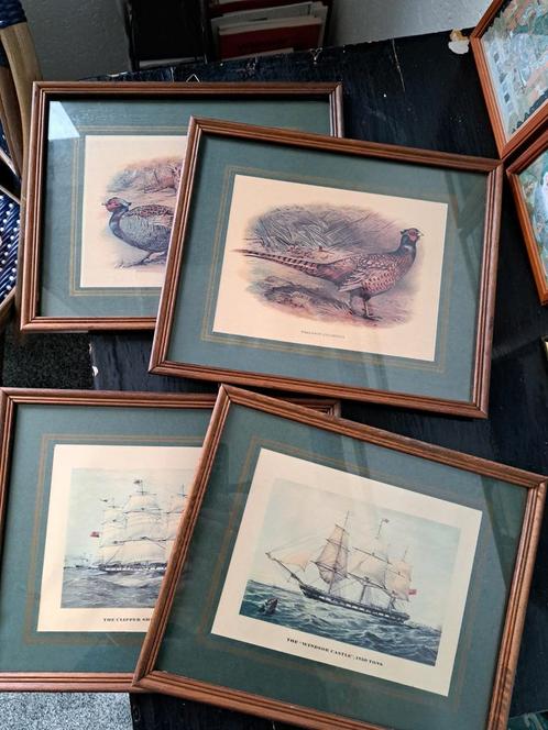 Vintage ingelijste prenten - Schepen en Fazanten, Antiek en Kunst, Kunst | Tekeningen en Foto's, Ophalen of Verzenden