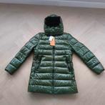 Save the duck  MARJORIE - Winterjas groen L Nieuw, Ophalen of Verzenden, Nieuw, Groen