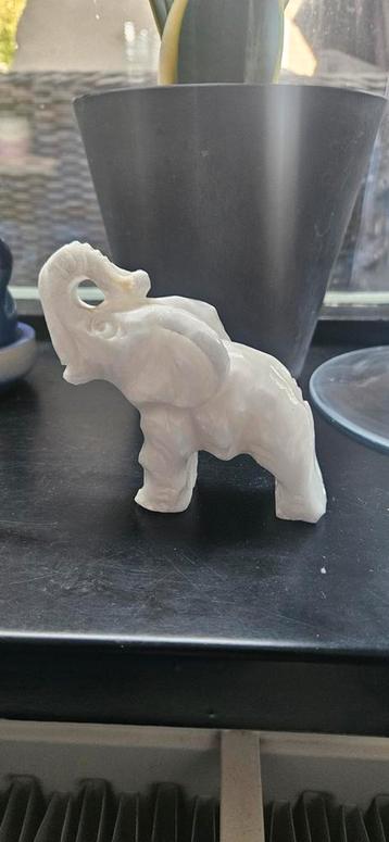 Olifant beschikbaar voor biedingen