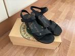 Panama Jack Julia sandalen 39 sleehak zwart leer ZGAN, Kleding | Dames, Schoenen, Ophalen of Verzenden, Zo goed als nieuw, Zwart