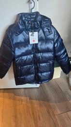 Moncler Bomber Winterjas - Maat L (valt klein), Ophalen of Verzenden, Nieuw, Blauw