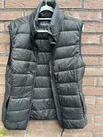 Bodywarmer en gestipt jasje. In combinatie, Kleding | Dames, Ophalen of Verzenden, Zo goed als nieuw, Maat 38/40 (M), Zwart