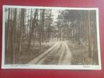 Ermelo Laan naar Heidenhoeve 1945, Ophalen of Verzenden, 1940 tot 1960, Gelderland