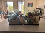 Dwerg hamsterhok / hamsterkooi incl. spullen, Dieren en Toebehoren, Gebruikt, Minder dan 75 cm, Ophalen, Minder dan 60 cm