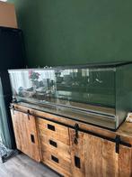 Terrarium 150x50x50 met slot, Dieren en Toebehoren, Reptielen en Amfibieën | Toebehoren, Ophalen, Gebruikt, Terrarium of Paludarium