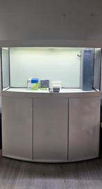 Juwel Vision 260L Aquarium with Cabinet, Dieren en Toebehoren, Vissen | Aquaria en Toebehoren, Ophalen, Gebruikt, Leeg aquarium