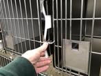 Hospitalisatiekooien, opnamekooien, honden en kattenkooien, Niet ingevuld, Niet ingevuld, Nieuw, Ophalen of Verzenden