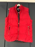 Heren bodywarmer gaastra L, Kleding | Heren, Bodywarmers, Maat 52/54 (L), Gaastra, Verzenden, Gedragen