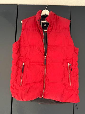 Heren bodywarmer gaastra L beschikbaar voor biedingen