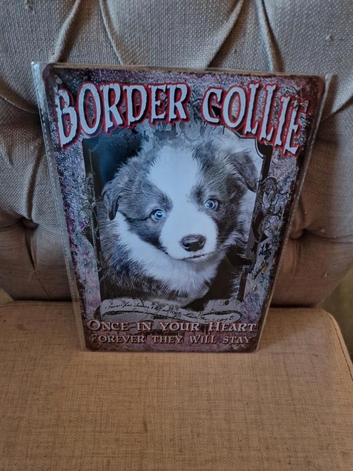 Border Collie wandbord, Huis en Inrichting, Woonaccessoires | Wanddecoraties, Nieuw, Ophalen of Verzenden