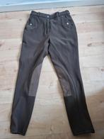 Red horse rijbroek maat 38 nieuw, Dressuur, Nieuw, Dames, Onderkleding