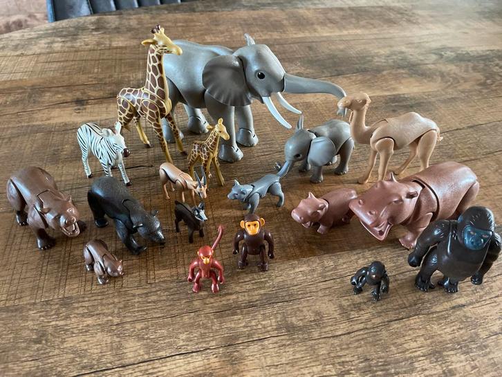 Playmobil Wilde Dieren met jongen set, Kinderen en Baby's, Speelgoed | Poppen, Zo goed als nieuw, Overige typen, Ophalen of Verzenden