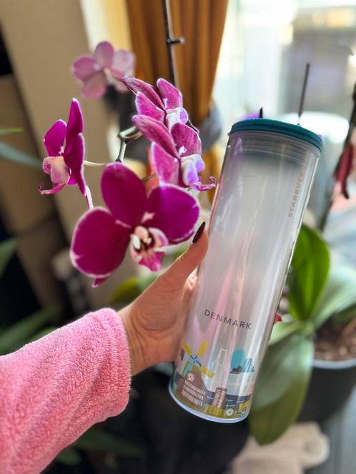 Starbucks coffee thermo cup Denmark  + reusable coffee cup, Sport en Fitness, Bidons, Zo goed als nieuw, Verzenden