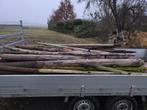 Weidepalen - Diverse lengtes, Gebruikt, Palen, Ophalen of Verzenden, Hardhout