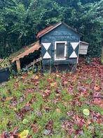 Kippenhok – Opknapper – Droog van binnen, Dieren en Toebehoren, Pluimvee, Meerdere dieren, Kip