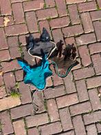 Oornetje, Ophalen, Overige soorten