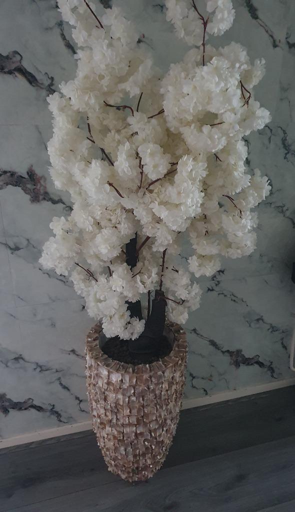 Schelpen vaas zo goed als nieuw, Huis en Inrichting, Woonaccessoires | Vazen, Zo goed als nieuw, Overige kleuren, Minder dan 50 cm