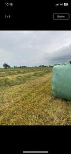 Kuilbalen eerste snee, Dieren en Toebehoren, Ophalen of Verzenden