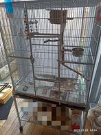 Vogel kooi, Dieren en Toebehoren, Ophalen, Zo goed als nieuw, Vogelkooi