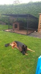 Hondenkennel met hok., Dieren en Toebehoren, Ophalen, Gebruikt, 110 cm of meer, 100 cm of meer