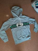 Lacoste trui in top staat, Kleding | Heren, Truien en Vesten, Maat 52/54 (L), Lacoste, Ophalen of Verzenden, Zo goed als nieuw