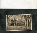 Ansicht Eelde - Vosbergen te Eelde, Verzamelen, Ansichtkaarten | Nederland, Verzenden, 1920 tot 1940, Gelopen, Drenthe