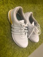 Nieuwe Adidas Golfschoenen Heren - Maat 41 1/3, Ophalen of Verzenden, Nieuw, Schoenen, Overige merken