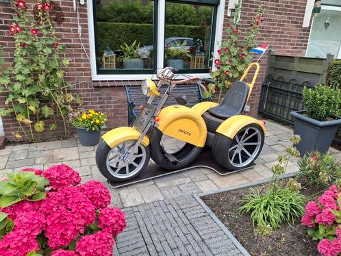UNIQUE  TRIKE MOTOR!, Verzamelen, Overige Verzamelen, Zo goed als nieuw, Ophalen of Verzenden