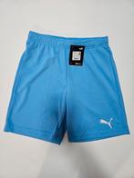 Puma teamRISE Short - Lichtblauw, Puma, Blauw, Nieuw, Ophalen of Verzenden