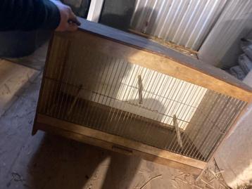 Vogel kooi beschikbaar voor biedingen
