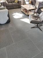Bourgondische Dallen Castle Stone Grey Blue wildverband, Ophalen, 60 cm of meer, Keramiek, Nieuw