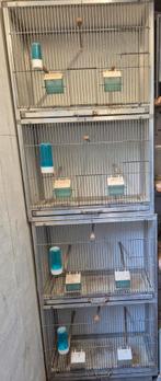 Te koop 2 kweekkooi torens, Dieren en Toebehoren, Vogels | Hokken en Kooien, Ophalen of Verzenden, Gebruikt, Hout, Broedkooi of Kweekkooi