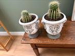 2 grote hoge potten aardewerk steen grijs wit cactus, Huis en Inrichting, Ophalen, Cactus, Minder dan 100 cm