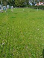 schuilstal - paddock - weiland, Dieren en Toebehoren, Stalling en Weidegang, Stalling, 2 of 3 paarden of pony's
