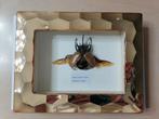 Taxidermy, Ophalen of Verzenden, Nieuw, Insect, Opgezet dier