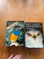 OVERIGE VOGELS, Meerdere dieren, Overige soorten