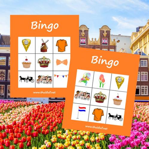 Koningsdag bingospel en gratis dobbelspellen, Hobby en Vrije tijd, Feestartikelen, Nieuw, Feestartikel, Oranje of Koningsdag, Ophalen of Verzenden