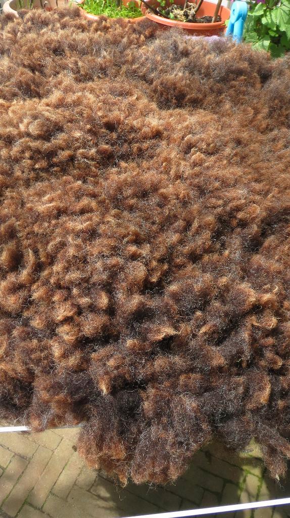 Zwartbles schaap, hand gevilte vacht, 80x55cm, 100% wol, Huis en Inrichting, Woonaccessoires | Plaids en Woondekens, Nieuw, Verzenden