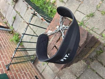 Dip belt  beschikbaar voor biedingen