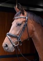 Harry's Horse Hoofdstel Rondgenaaid en lak neusriem, Cob, Ophalen of Verzenden, Nieuw