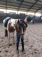 Verzorg pony/paard gezocht bijrijder aangeboden, Ophalen of Verzenden, Zo goed als nieuw