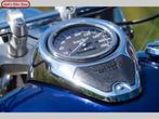 SUZUKI VL 800 VOLUSIA (bj 2008), 2 cilinders, 805 cc, Motorrijbewijs A, Bedrijf